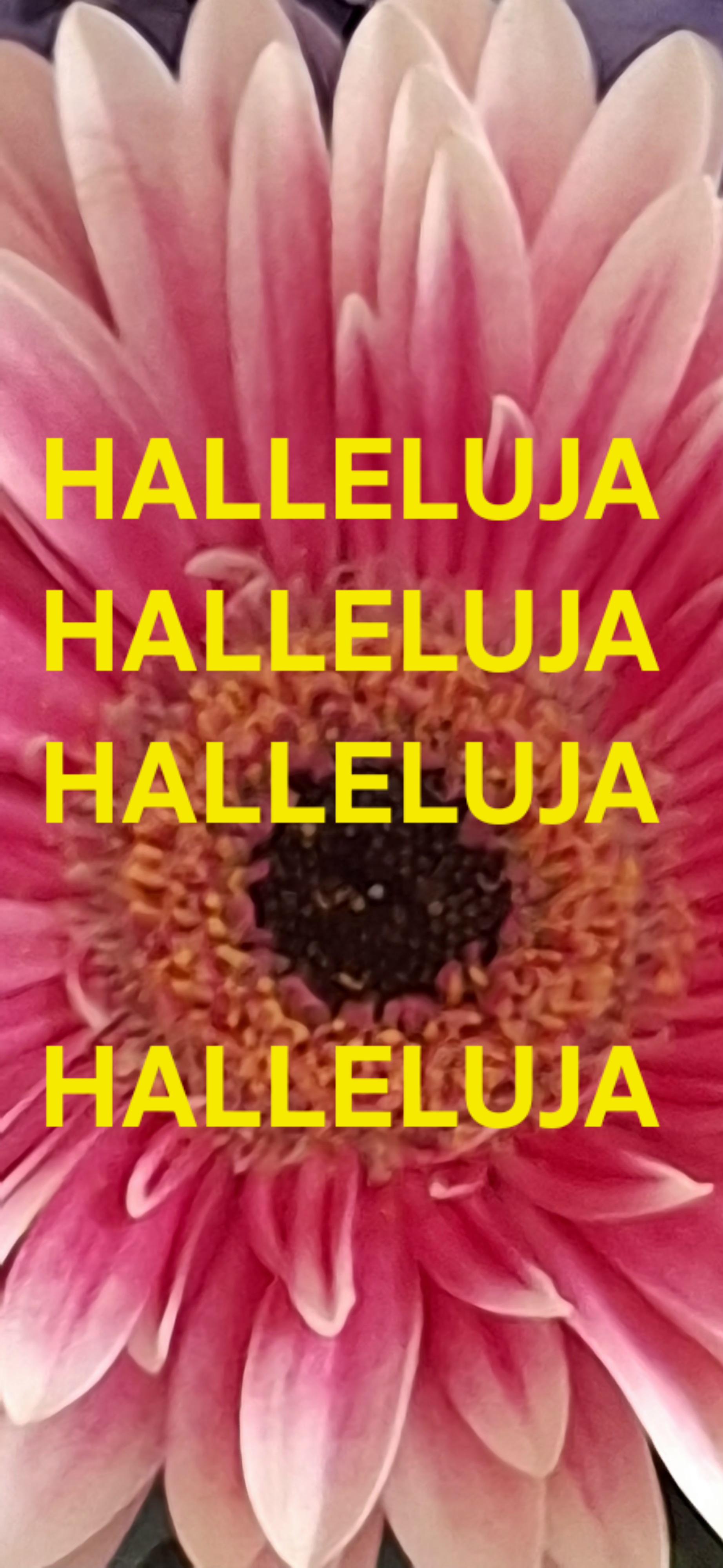 Mark&eacute;ta  KLETEČKA 